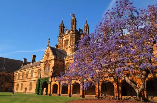 University of Sydney